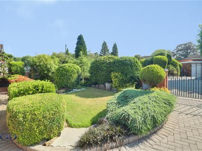 Picture 15